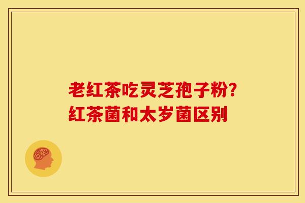 老红茶吃灵芝孢子粉?红茶菌和太岁菌区别 老红茶吃灵芝孢子粉?红茶菌和太岁菌区别