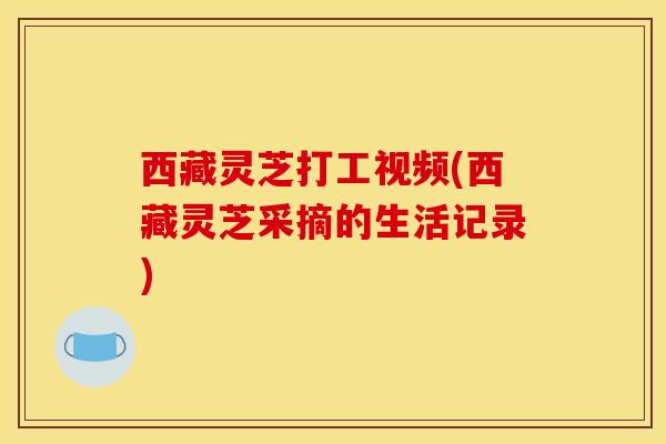 西藏灵芝打工视频(西藏灵芝采摘的生活记录)
