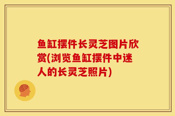 鱼缸摆件长灵芝图片欣赏(浏览鱼缸摆件中迷人的长灵芝照片)