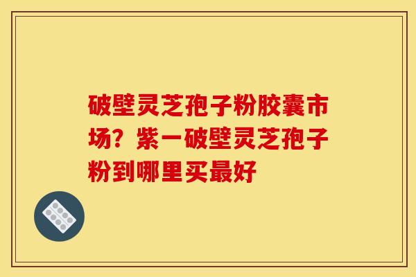 破壁灵芝孢子粉胶囊市场?紫一破壁灵芝孢子粉到哪里买好 破壁灵芝孢子粉胶囊市场?紫一破壁灵芝孢子粉到哪里买好