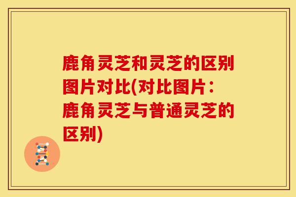 鹿角灵芝和灵芝的区别图片对比(对比图片:鹿角灵芝与普通灵芝的区别) 鹿角灵芝和灵芝的区别图片对比(对比图片:鹿角灵芝与普通灵芝的区别)