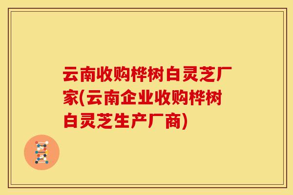 云南收购桦树白灵芝厂家(云南企业收购桦树白灵芝生产厂商)