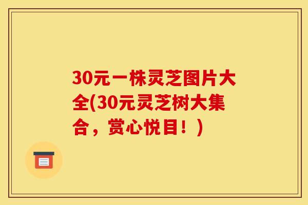 30元一株灵芝图片大全(30元灵芝树大集合,赏心悦目!) 30元一株灵芝图片大全(30元灵芝树大集合,赏心悦目!)