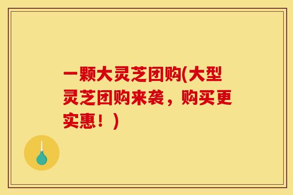 一颗大灵芝团购(大型灵芝团购来袭,购买更实惠!) 一颗大灵芝团购(大型灵芝团购来袭,购买更实惠!)