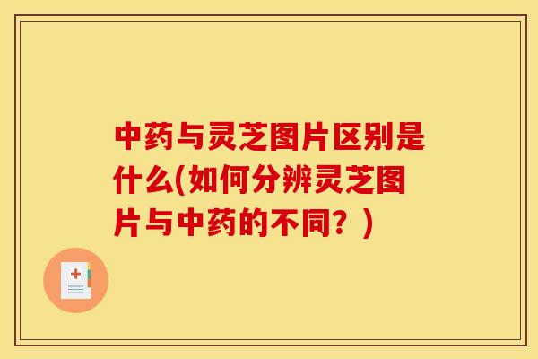 与灵芝图片区别是什么(如何分辨灵芝图片与的不同?) 与灵芝图片区别是什么(如何分辨灵芝图片与的不同?)