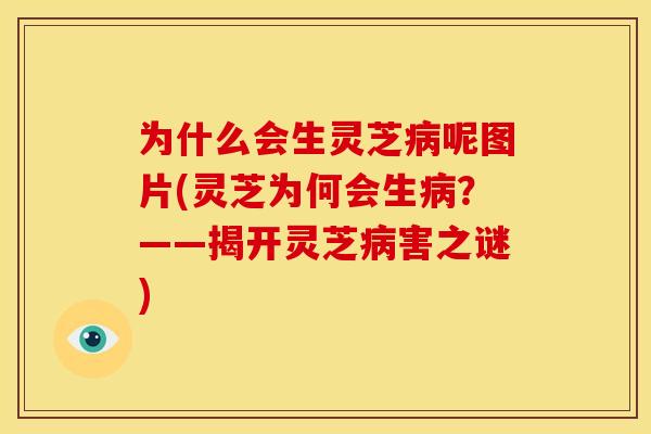 为什么会生灵芝呢图片(灵芝为何会生?——揭开灵芝害之谜) 为什么会生灵芝呢图片(灵芝为何会生?——揭开灵芝害之谜)