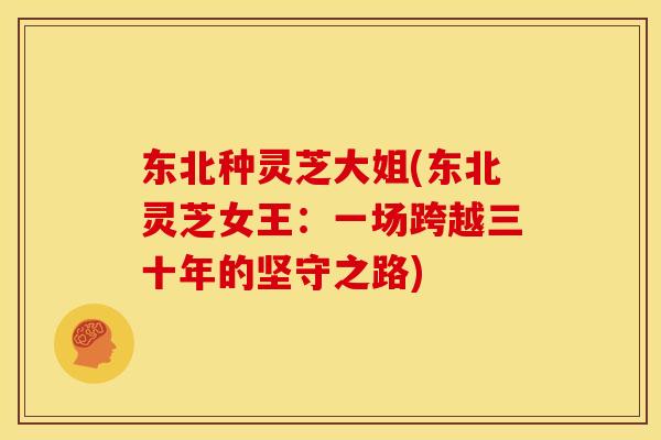 东北种灵芝大姐(东北灵芝女王:一场跨越三十年的坚守之路) 东北种灵芝大姐(东北灵芝女王:一场跨越三十年的坚守之路)