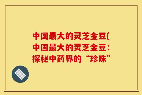 中国大的灵芝金豆(中国大的灵芝金豆：探秘界的“珍珠”
