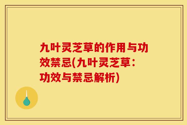 九叶灵芝草的作用与功效禁忌(九叶灵芝草:功效与禁忌解析) 九叶灵芝草的作用与功效禁忌(九叶灵芝草:功效与禁忌解析)