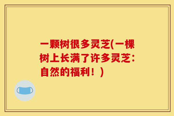 一颗树很多灵芝(一棵树上长满了许多灵芝:自然的福利!) 一颗树很多灵芝(一棵树上长满了许多灵芝:自然的福利!)