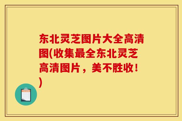 东北灵芝图片大全高清图(收集全东北灵芝高清图片，美不胜收！)