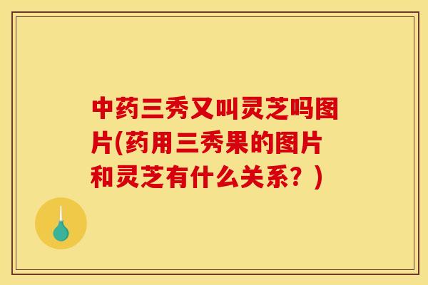 三秀又叫灵芝吗图片(药用三秀果的图片和灵芝有什么关系?) 三秀又叫灵芝吗图片(药用三秀果的图片和灵芝有什么关系?)