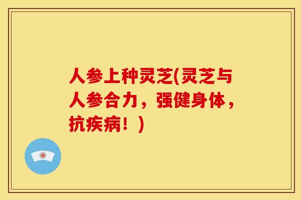 人参上种灵芝(灵芝与人参合力,强健身体,抗!) 人参上种灵芝(灵芝与人参合力,强健身体,抗!)