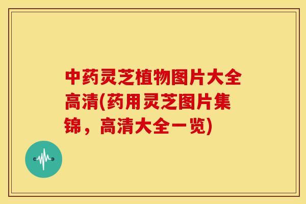灵芝植物图片大全高清(药用灵芝图片集锦,高清大全一览) 灵芝植物图片大全高清(药用灵芝图片集锦,高清大全一览)