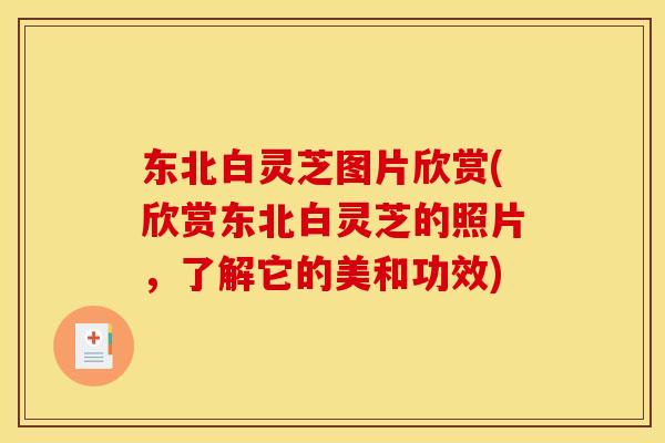 东北白灵芝图片欣赏(欣赏东北白灵芝的照片，了解它的美和功效)