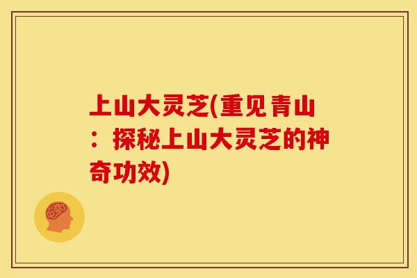 上山大灵芝(重见青山：探秘上山大灵芝的神奇功效)
