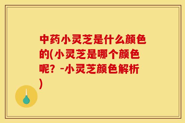 小灵芝是什么颜色的(小灵芝是哪个颜色呢？-小灵芝颜色解析)