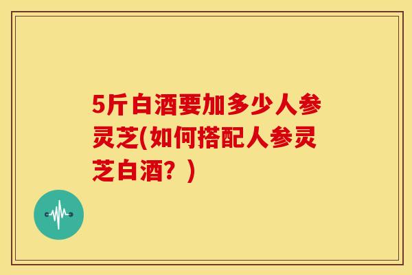 5斤白酒要加多少人参灵芝(如何搭配人参灵芝白酒?) 5斤白酒要加多少人参灵芝(如何搭配人参灵芝白酒?)