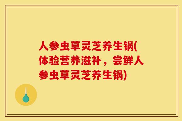 人参虫草灵芝养生锅(体验营养滋补,尝鲜人参虫草灵芝养生锅) 人参虫草灵芝养生锅(体验营养滋补,尝鲜人参虫草灵芝养生锅)