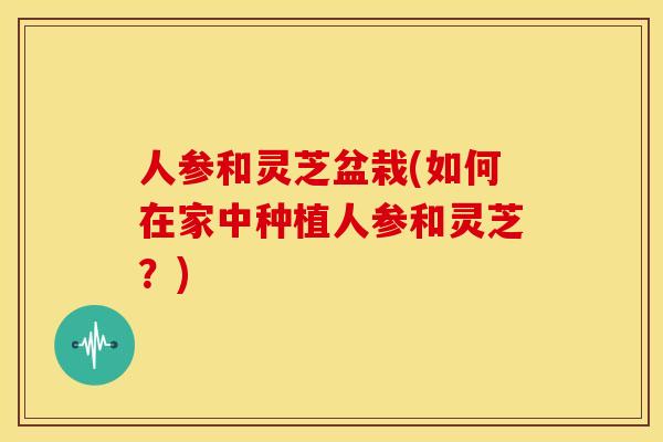 人参和灵芝盆栽(如何在家中种植人参和灵芝?) 人参和灵芝盆栽(如何在家中种植人参和灵芝?)