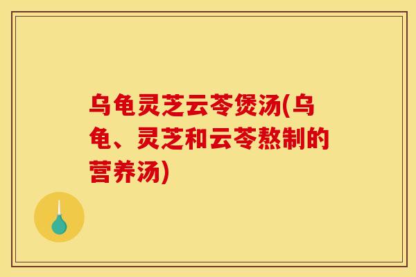 乌龟灵芝云苓煲汤(乌龟、灵芝和云苓熬制的营养汤)