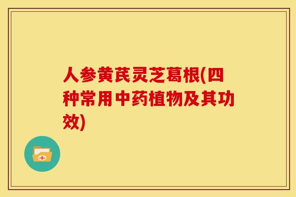 人参黄芪灵芝葛根(四种常用植物及其功效) 人参黄芪灵芝葛根(四种常用植物及其功效)