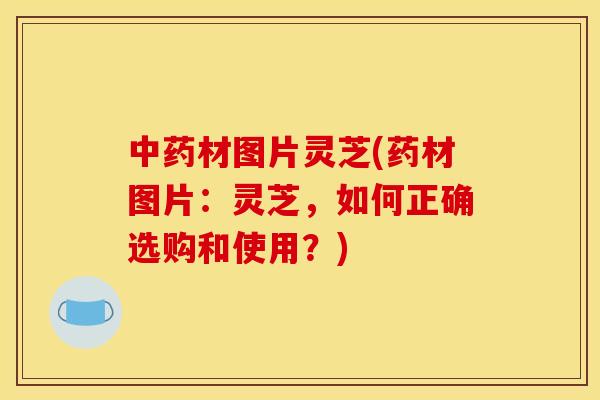 材图片灵芝(药材图片：灵芝，如何正确选购和使用？)