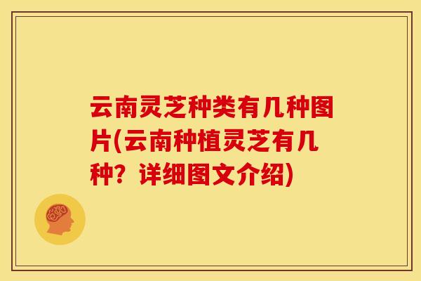 云南灵芝种类有几种图片(云南种植灵芝有几种?详细图文介绍) 云南灵芝种类有几种图片(云南种植灵芝有几种?详细图文介绍)