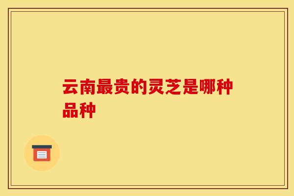 云南贵的灵芝是哪种品种 云南贵的灵芝是哪种品种