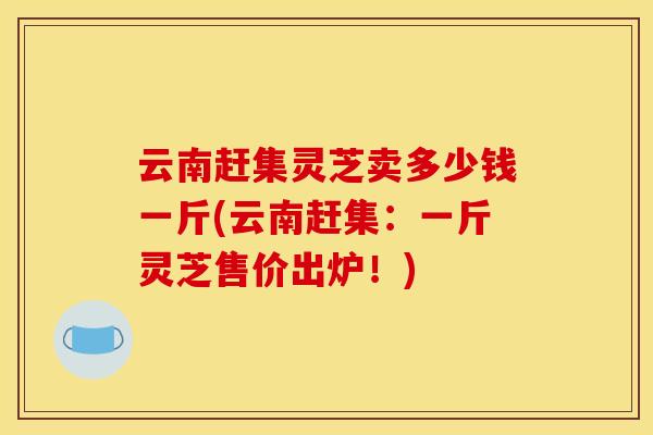 云南赶集灵芝卖多少钱一斤(云南赶集:一斤灵芝售价出炉!) 云南赶集灵芝卖多少钱一斤(云南赶集:一斤灵芝售价出炉!)