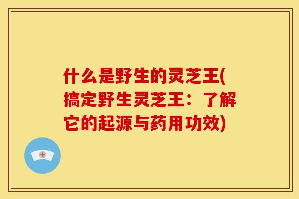 什么是野生的灵芝王(搞定野生灵芝王:了解它的起源与药用功效) 什么是野生的灵芝王(搞定野生灵芝王:了解它的起源与药用功效)