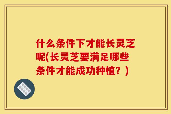 什么条件下才能长灵芝呢(长灵芝要满足哪些条件才能成功种植?) 什么条件下才能长灵芝呢(长灵芝要满足哪些条件才能成功种植?)