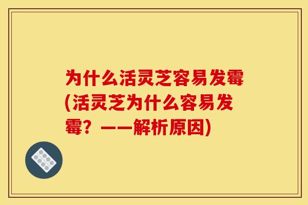 为什么活灵芝容易发霉(活灵芝为什么容易发霉?——解析原因) 为什么活灵芝容易发霉(活灵芝为什么容易发霉?——解析原因)