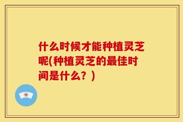 什么时候才能种植灵芝呢(种植灵芝的佳时间是什么?) 什么时候才能种植灵芝呢(种植灵芝的佳时间是什么?)