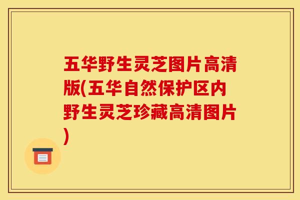 五华野生灵芝图片高清版(五华自然保护区内野生灵芝珍藏高清图片) 五华野生灵芝图片高清版(五华自然保护区内野生灵芝珍藏高清图片)