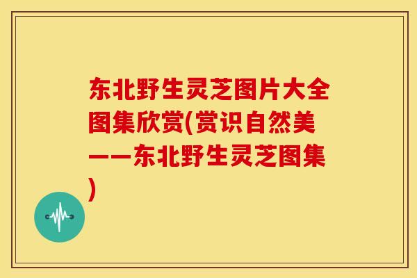 东北野生灵芝图片大全图集欣赏(赏识自然美——东北野生灵芝图集) 东北野生灵芝图片大全图集欣赏(赏识自然美——东北野生灵芝图集)