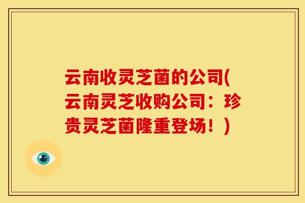 云南收灵芝菌的公司(云南灵芝收购公司：珍贵灵芝菌隆重登场！)