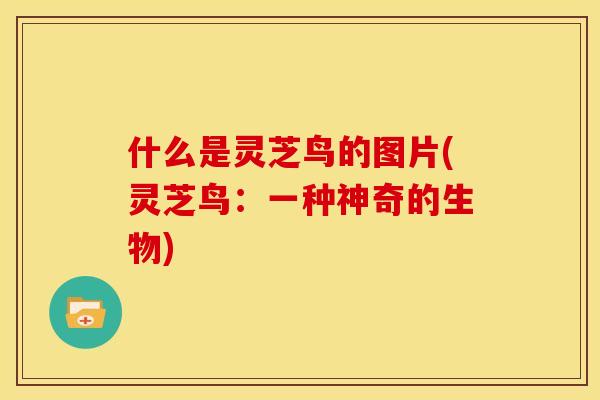 什么是灵芝鸟的图片(灵芝鸟：一种神奇的生物)