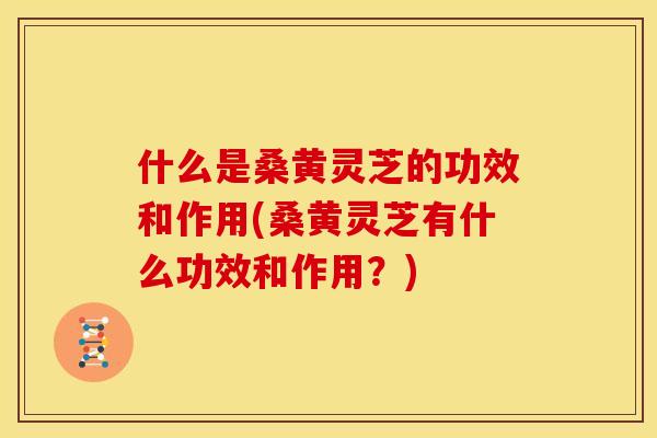 什么是桑黄灵芝的功效和作用(桑黄灵芝有什么功效和作用?) 什么是桑黄灵芝的功效和作用(桑黄灵芝有什么功效和作用?)