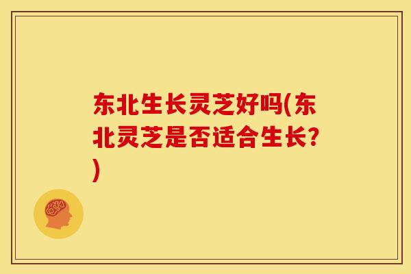 东北生长灵芝好吗(东北灵芝是否适合生长？)