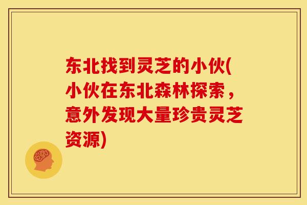 东北找到灵芝的小伙(小伙在东北森林探索，意外发现大量珍贵灵芝资源)