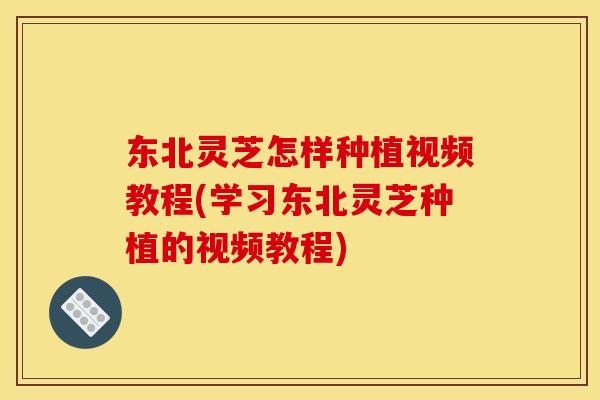 东北灵芝怎样种植视频教程(学习东北灵芝种植的视频教程) 东北灵芝怎样种植视频教程(学习东北灵芝种植的视频教程)