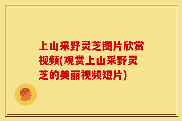 上山采野灵芝图片欣赏视频(观赏上山采野灵芝的美丽视频短片) 上山采野灵芝图片欣赏视频(观赏上山采野灵芝的美丽视频短片)