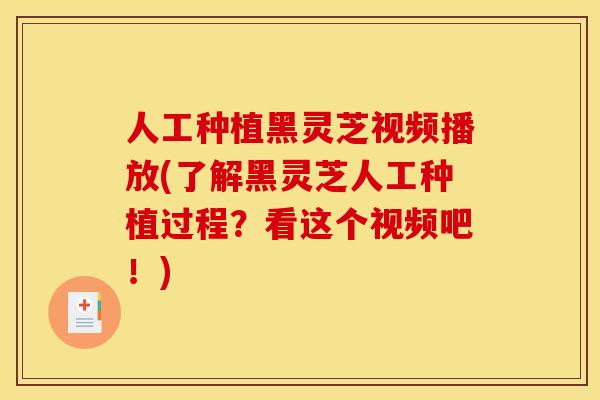 人工种植黑灵芝视频播放(了解黑灵芝人工种植过程?看这个视频吧!) 人工种植黑灵芝视频播放(了解黑灵芝人工种植过程?看这个视频吧!)