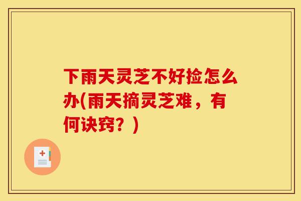 下雨天灵芝不好捡怎么办(雨天摘灵芝难,有何诀窍?) 下雨天灵芝不好捡怎么办(雨天摘灵芝难,有何诀窍?)
