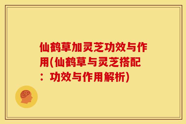 仙鹤草加灵芝功效与作用(仙鹤草与灵芝搭配:功效与作用解析) 仙鹤草加灵芝功效与作用(仙鹤草与灵芝搭配:功效与作用解析)