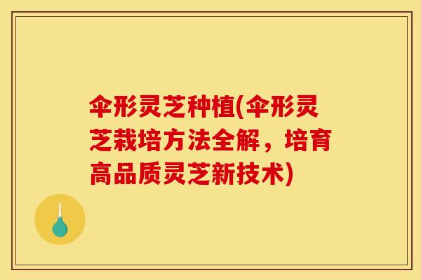 伞形灵芝种植(伞形灵芝栽培方法全解,培育高品质灵芝新技术) 伞形灵芝种植(伞形灵芝栽培方法全解,培育高品质灵芝新技术)