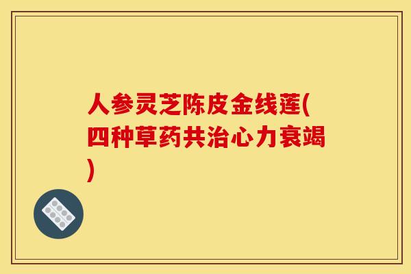 人参灵芝陈皮金线莲(四种草药共心力衰竭) 人参灵芝陈皮金线莲(四种草药共心力衰竭)