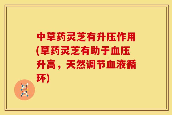 中草药灵芝有升压作用(草药灵芝有助于升高,天然调节) 中草药灵芝有升压作用(草药灵芝有助于升高,天然调节)