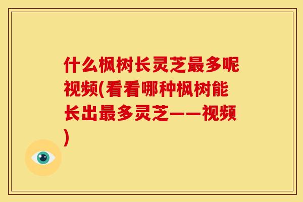 什么枫树长灵芝多呢视频(看看哪种枫树能长出多灵芝——视频) 什么枫树长灵芝多呢视频(看看哪种枫树能长出多灵芝——视频)